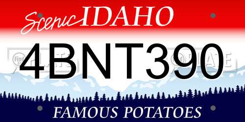 4BNT390 Idaho License Plate