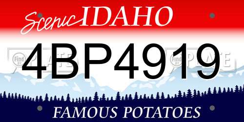 4BP4919 Idaho License Plate