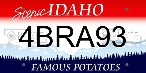4BRA93 Idaho License Plate