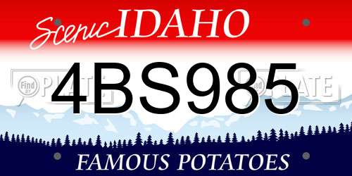 4BS985 Idaho License Plate