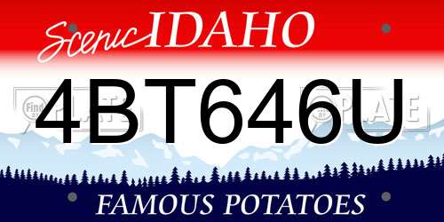 4BT646U Idaho License Plate