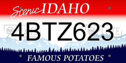 4BTZ623 Idaho License Plate