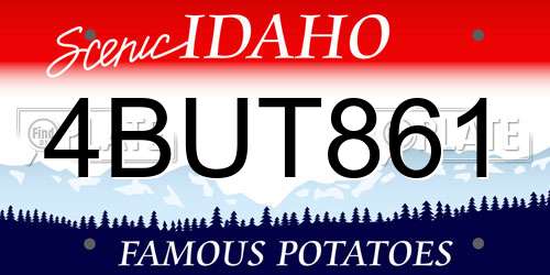 4BUT861 Idaho License Plate