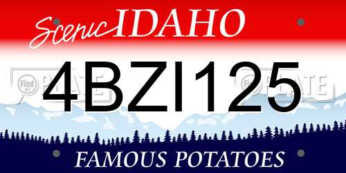 4BZI125 Idaho License Plate