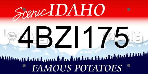 4BZI175 Idaho License Plate