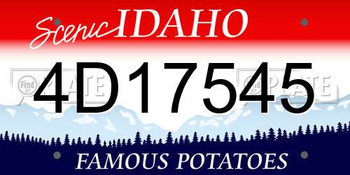 4D17545 Idaho License Plate