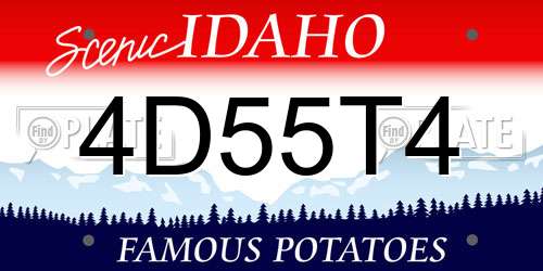 4D55T4 Idaho License Plate