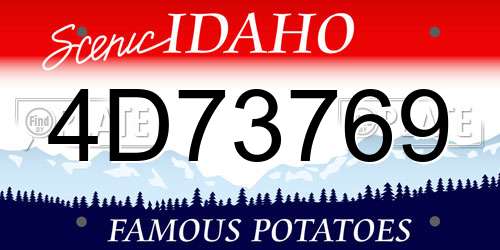 4D73769 Idaho License Plate