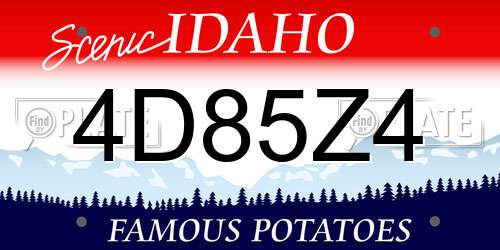 4D85Z4 Idaho License Plate