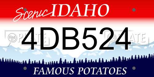 4DB524 Idaho License Plate