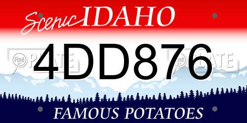 4DD876 Idaho License Plate