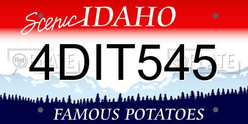 4DIT545 Idaho License Plate