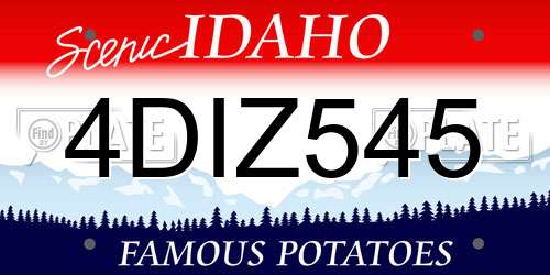 4DIZ545 Idaho License Plate