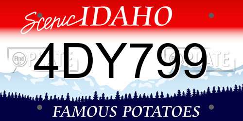 4DY799 Idaho License Plate