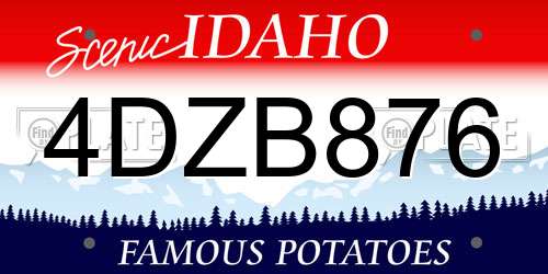 4DZB876 Idaho License Plate