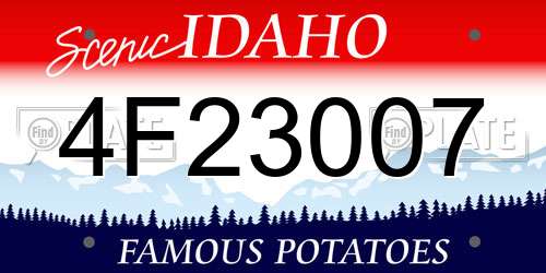 4F23007 Idaho License Plate