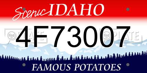 4F73007 Idaho License Plate