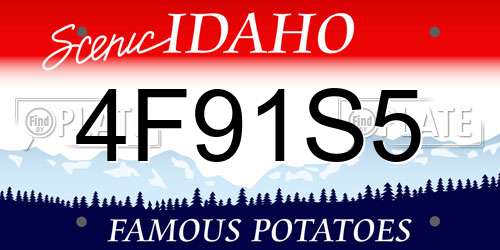 4F91S5 Idaho License Plate