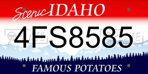 4FS8585 Idaho License Plate