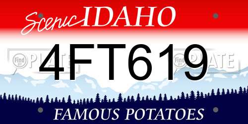4FT619 Idaho License Plate