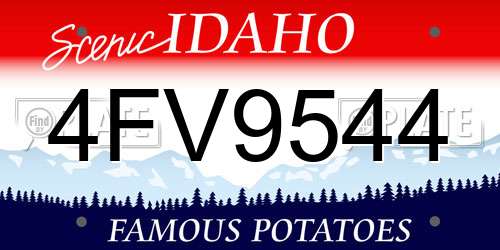 4FV9544 Idaho License Plate