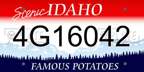 4G16042 Idaho License Plate