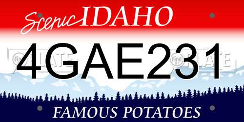 4GAE231 Idaho License Plate