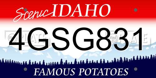 4GSG831 Idaho License Plate