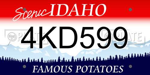 4KD599 Idaho License Plate
