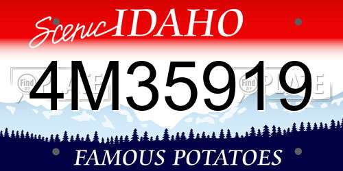 4M35919 Idaho License Plate