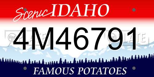 4M46791 Idaho License Plate