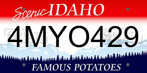 4MYO429 Idaho License Plate