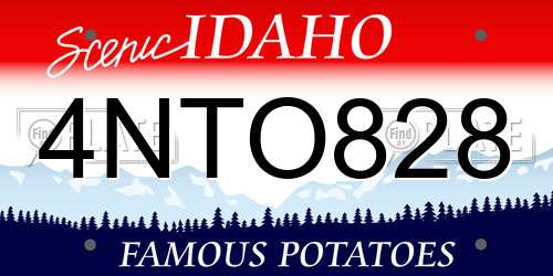 4NTO828 Idaho License Plate