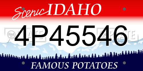 4P45546 Idaho License Plate