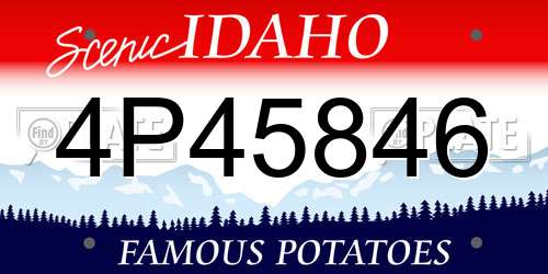 4P45846 Idaho License Plate