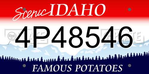 4P48546 Idaho License Plate
