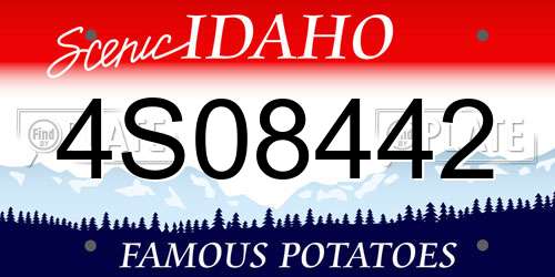 4S08442 Idaho License Plate