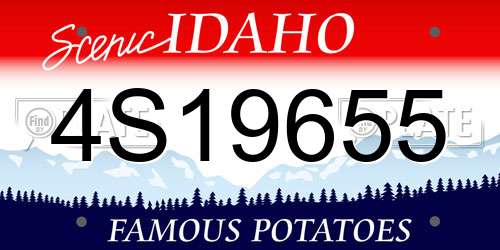 4S19655 Idaho License Plate