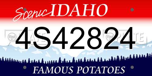 4S42824 Idaho License Plate