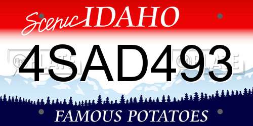4SAD493 Idaho License Plate
