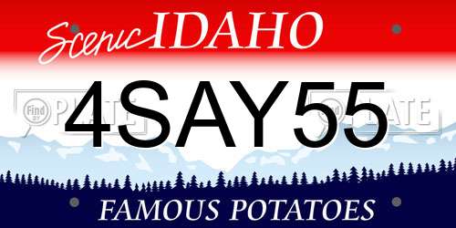 4SAY55 Idaho License Plate
