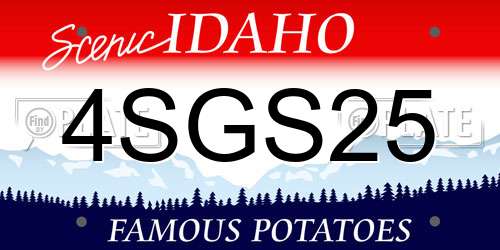 4SGS25 Idaho License Plate