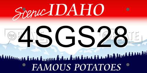 4SGS28 Idaho License Plate