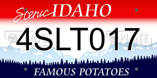 4SLT017 Idaho License Plate