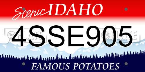 4SSE905 Idaho License Plate
