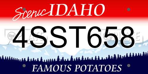 4SST658 Idaho License Plate