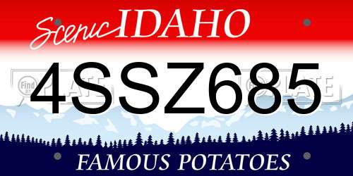 4SSZ685 Idaho License Plate