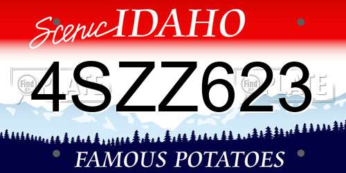 4SZZ623 Idaho License Plate