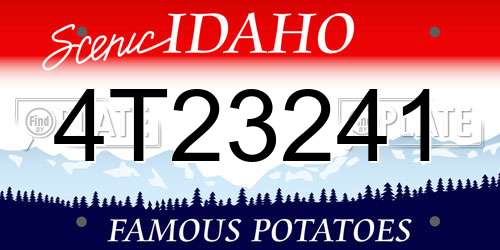 4T23241 Idaho License Plate