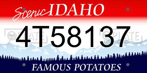 4T58137 Idaho License Plate
